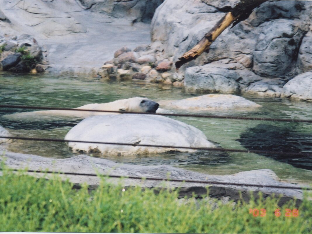 2003-06b June - Winnipeg Zoo